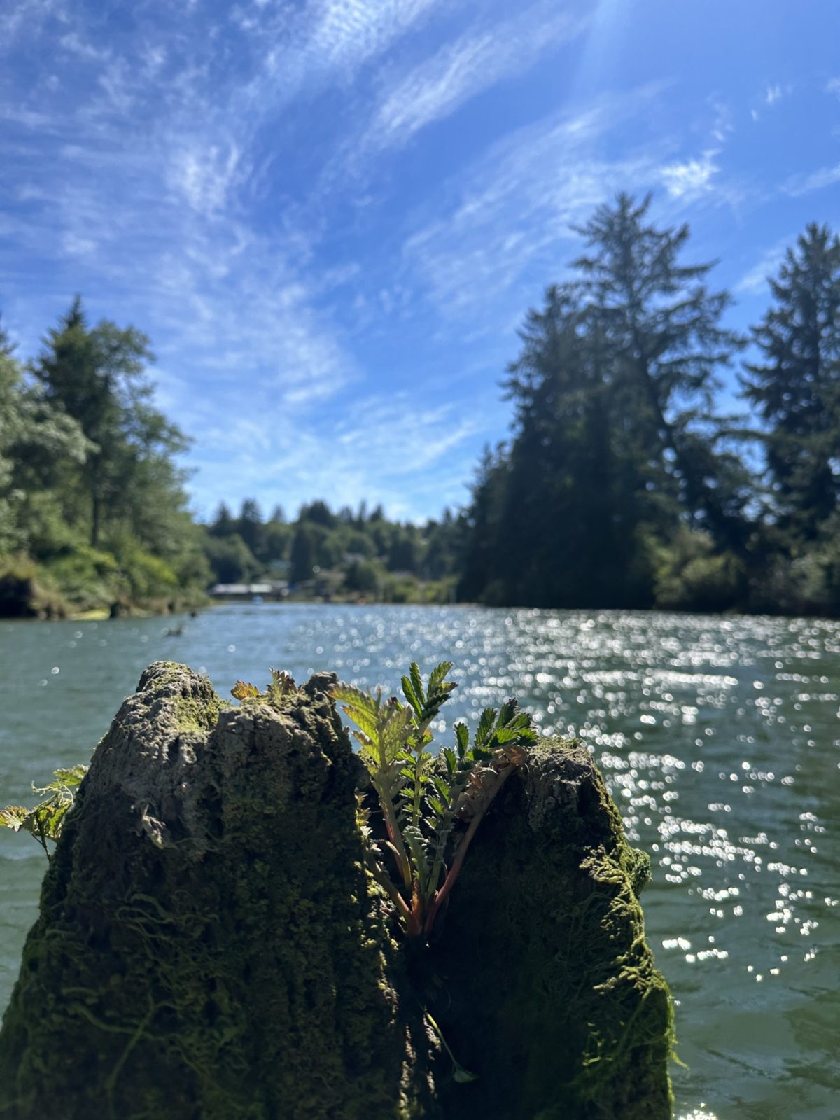 New Ryse Sustainable Design | WHAT WE BELIEVE New Ryse Sustainable Design | WHAT WE BELIEVE