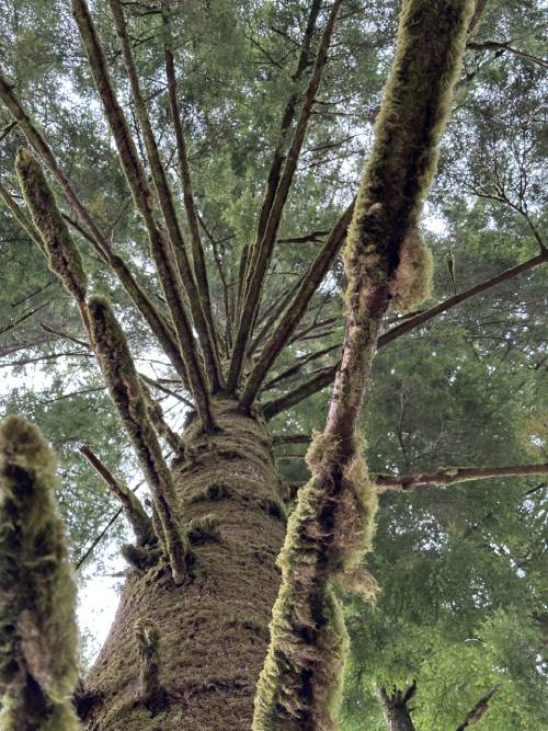 IMG-4795-scaled New Ryse Sustainable Design | WHAT WE BELIEVE