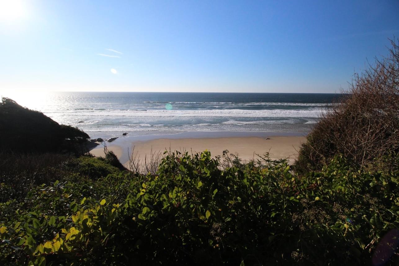 IMG-4860 New Ryse Sustainable Design | PRIVATE BEACH HOME IN ARCH CAPE