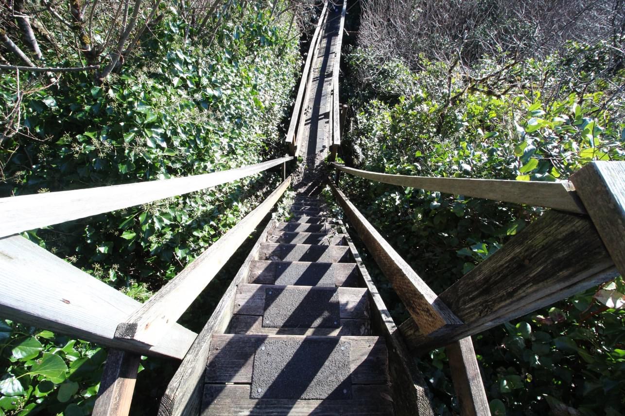 IMG-4864 New Ryse Sustainable Design | PRIVATE BEACH HOME IN ARCH CAPE