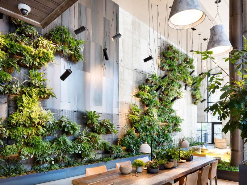 BACKYARD5-2-1024x576 New Ryse Sustainable Design | SUSTAINABLE DESIGN