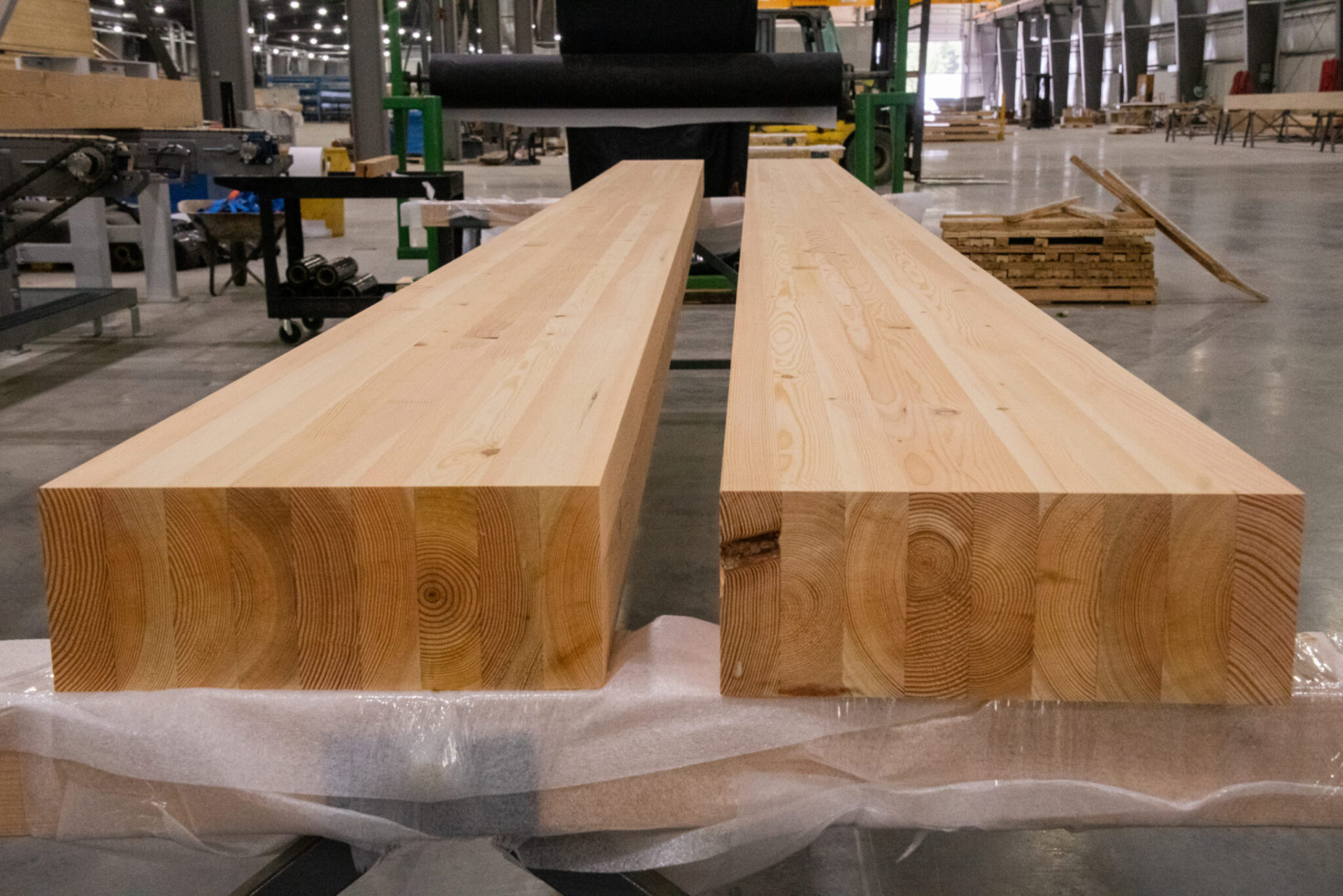 glulam New Ryse Sustainable Design | MASS TIMBER